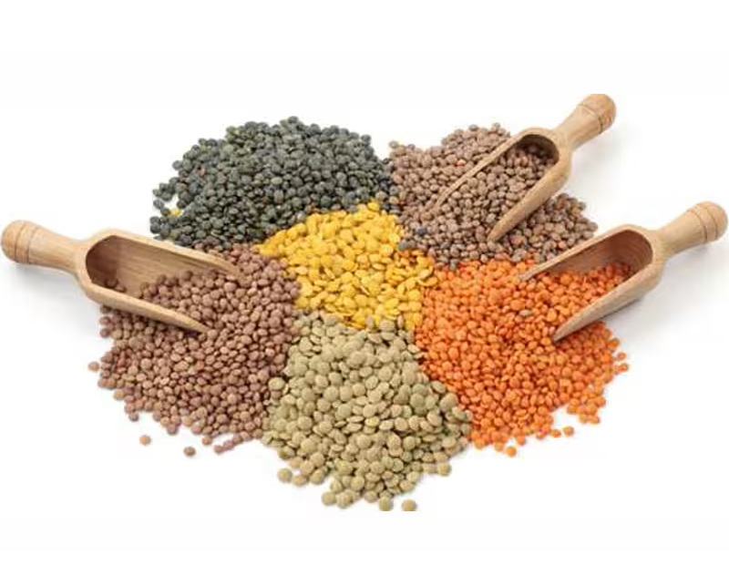 Grains and Pulses